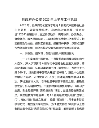 县政府办2023年上半年工作总结