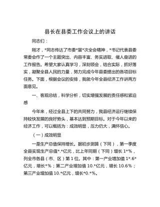 县长在县委工作会议上的讲话