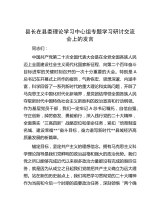县长在理论中心组二十大精神专题学习研讨交流会上的发言