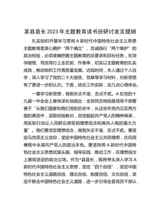 县长2023年主题教育读书班研讨发言