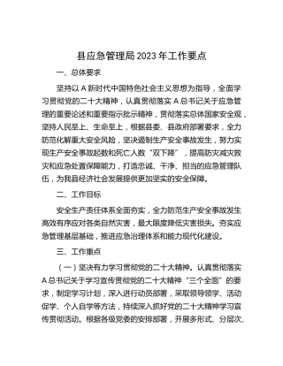 县应急管理局2023年工作要点