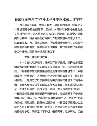 县医保局2023年上半年平安建设工作总结