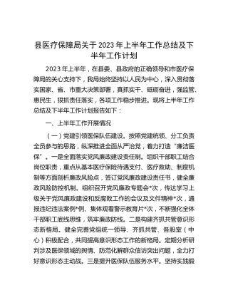 县医保局2023年上半年工作总结及下半年工作计划