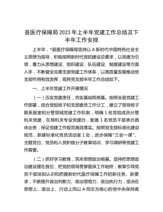 县医保局2023年上半年党建工作总结