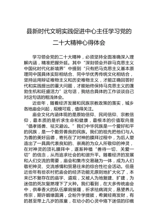 县新时代文明实践促进中心主任学习二十大精神心得体会