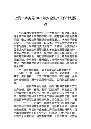 市水务局2023年安全生产工作计划要点