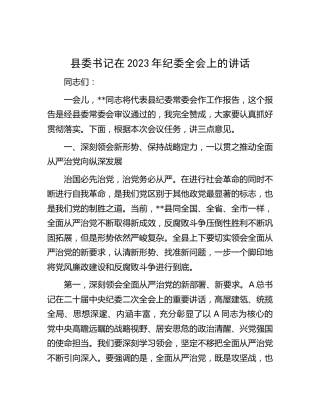 县委书记在2023年纪委全会上的讲话2