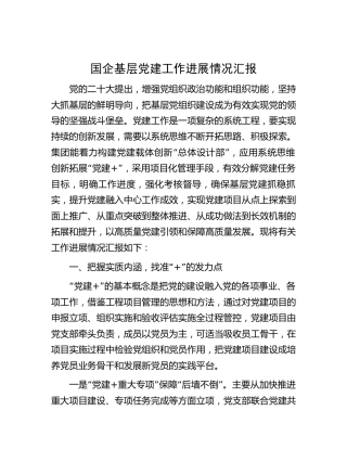 国企公司基层党建工作进展情况汇报（4100字总结）