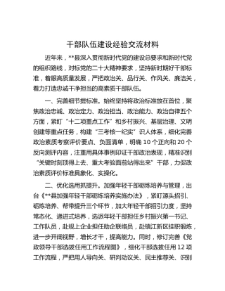 干部队伍建设经验交流材料 (2)