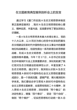 在主题教育典型案例剖析会上的发言（结合生态文明思想）