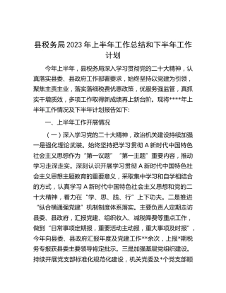 县税务局2023年上半年工作总结