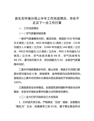 县生态环境分局上半年工作总结及下一步工作打算