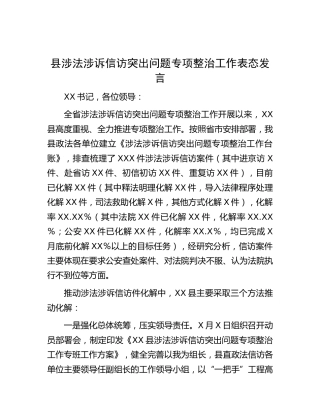 县涉法涉诉信访突出问题专项整治工作表态发言