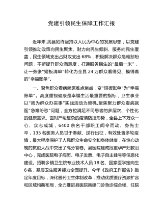党建引领民生保障工作汇报