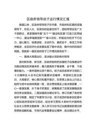 县区政府领导班子运行情况汇报