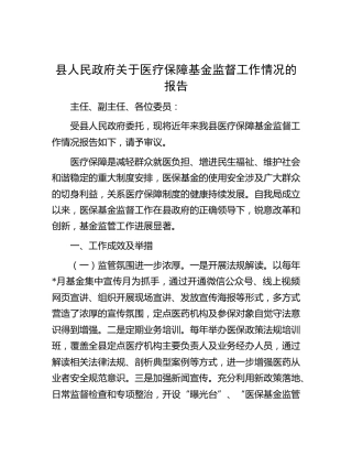 县区医疗保障基金监督工作情况报告