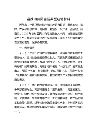 县区推动共同富裕典型经验