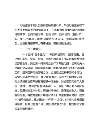 县区纪检监察干部队伍教育整顿工作阶段性总结