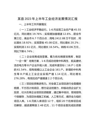 县区2023年上半年工业经济发展情况汇报
