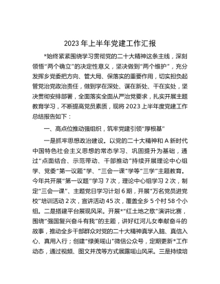 县区2023年上半年党建工作汇报