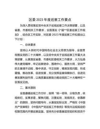 县区2023年度巡察工作要点