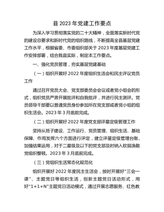 县区2023年党建工作要点