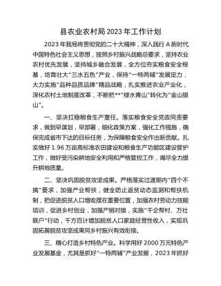 县农业农村局2023年工作计划
