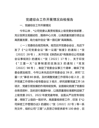 党建综合工作开展情况自检报告（公司）