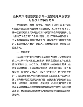 县民政系统落实巡察反馈意见整改实施方案