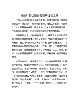 党建引领优服务 营商环境促发展汇报