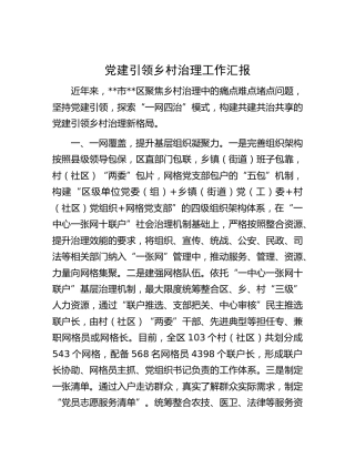 党建引领乡村治理工作汇报 (2)