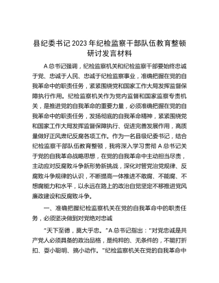 县纪委书记纪检监察干部队伍教育整顿研讨发言
