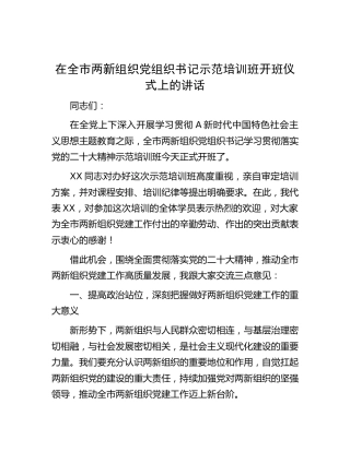 在全市两新组织党组织书记示范培训班开班仪式上的讲话
