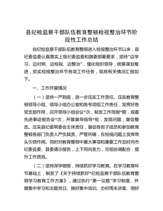 县纪检监察干部队伍教育整顿检视整治环节阶段性工作总结（2200字）