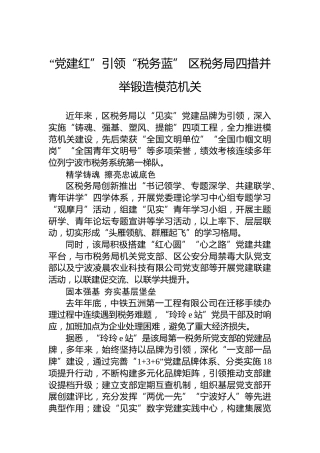 “党建红”引领“税务蓝” 区税务局四措并举锻造模范机关(20230712)