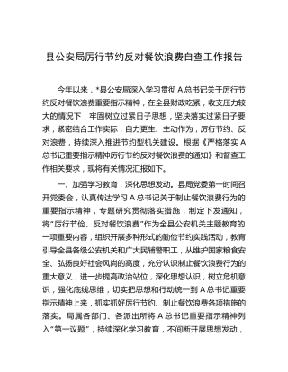 县公安局厉行节约反对餐饮浪费自查工作报告