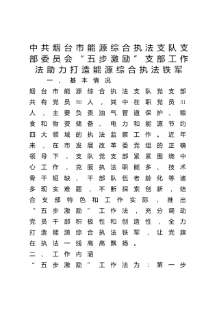 能源综合执法支队支部委员会“五步激励”支部工作法助力打造能源综合执法铁军