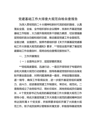 党建基础工作大排查大规范自检自查总结报告