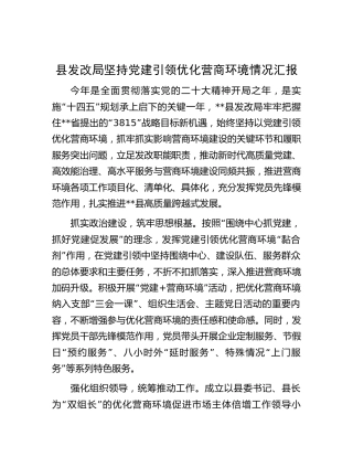 县发改局坚持党建引领优化营商环境情况汇报