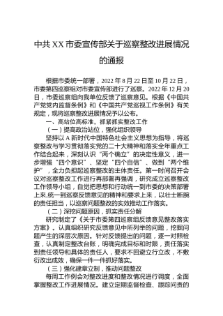 市委宣传部关于巡察整改进展情况的通报(20230320)
