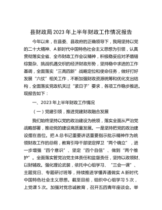 县财政局2023年上半年财政工作情况报告