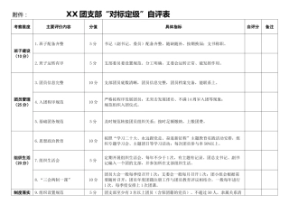 团支部“对标定级”自评表