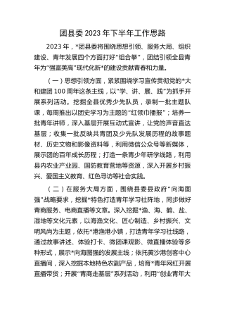 团县委2023年下半年工作思路（计划）