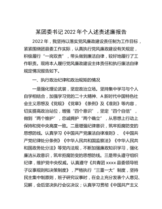 团委书记2022年个人述责述廉报告2000字