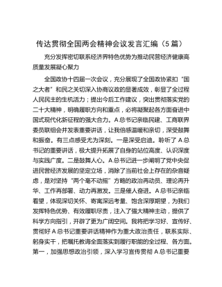 传达贯彻两会精神会议研讨发言5篇（心得体会）