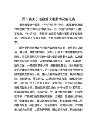 团市委关于巡察整改进展情况的总结报告