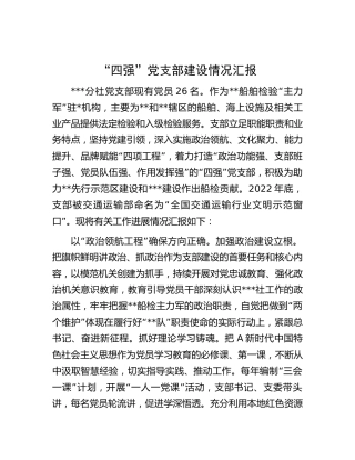 四强党支部建设情况总结汇报2400字