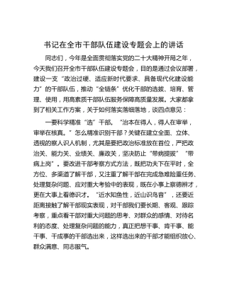 在全市干部队伍建设专题会上的讲话