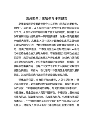 国资委主题教育评估报告（2600字总结）