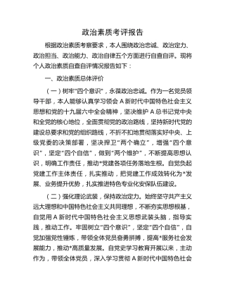 个人政治素质考评报告（画像）